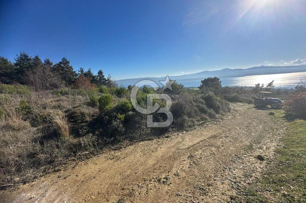 Deniz Manzaralı Tarla, Gelibolu Burhanlı'da Emsallere Göre Uygun!