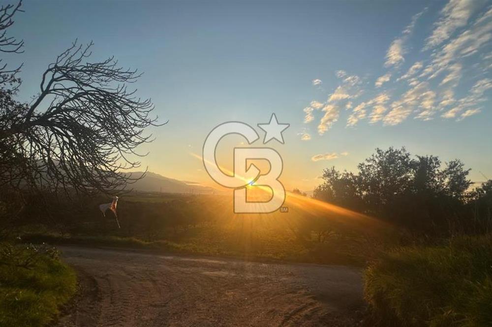 Aliağa Barbaros Hayrettin Paşa 1450 m2 satılık tarla