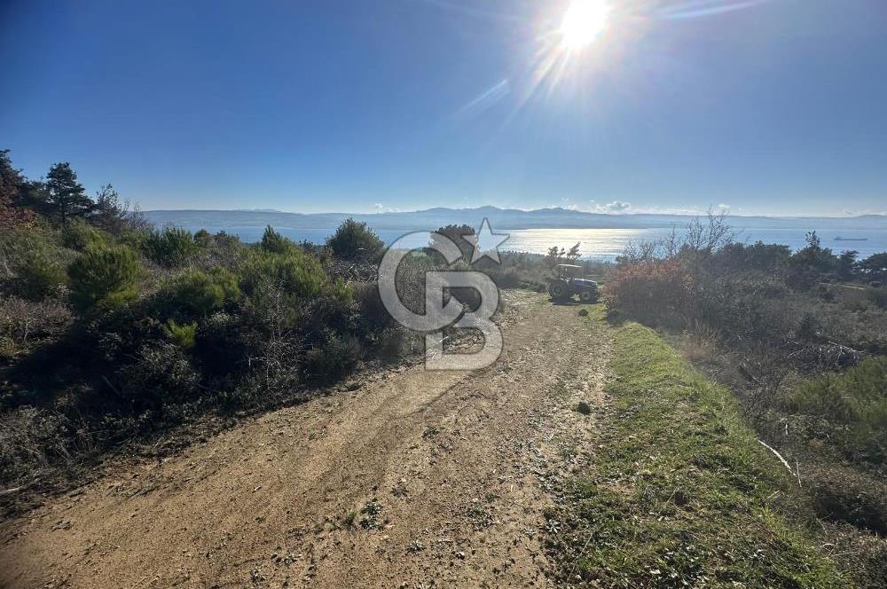 Deniz Manzaralı Tarla, Gelibolu Burhanlı'da Emsallere Göre Uygun!