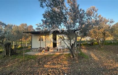 Aliağa Barbaros Hayrettin Paşa 820 m2 satılık tarla 