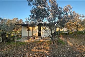 Aliağa Barbaros Hayrettin Paşa 820 m2 satılık tarla  - 1 - 327992