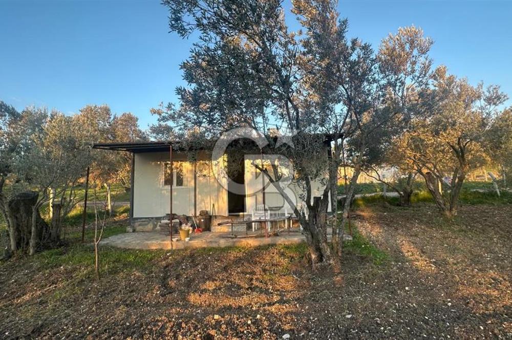 Aliağa Barbaros Hayrettin Paşa 1450 m2 satılık tarla