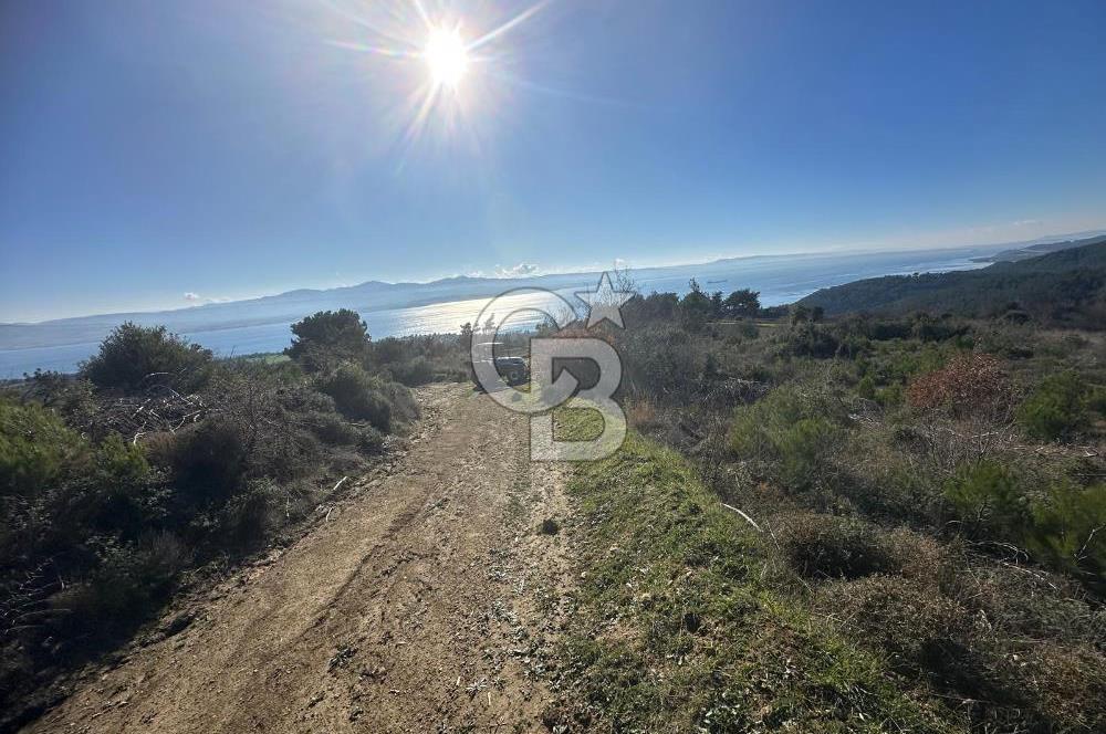 Deniz Manzaralı Tarla, Gelibolu Burhanlı'da Emsallere Göre Uygun!