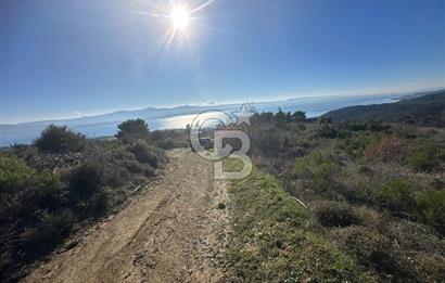 Deniz Manzaralı Tarla, Gelibolu Burhanlı'da Emsallere Göre Uygun!