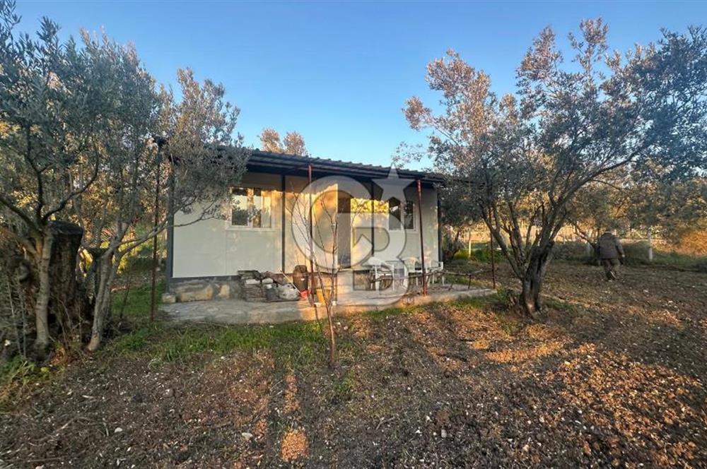 Aliağa Barbaros Hayrettin Paşa 820 m2 satılık tarla 