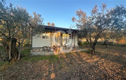 Aliağa Barbaros Hayrettin Paşa 820 m2 satılık tarla 