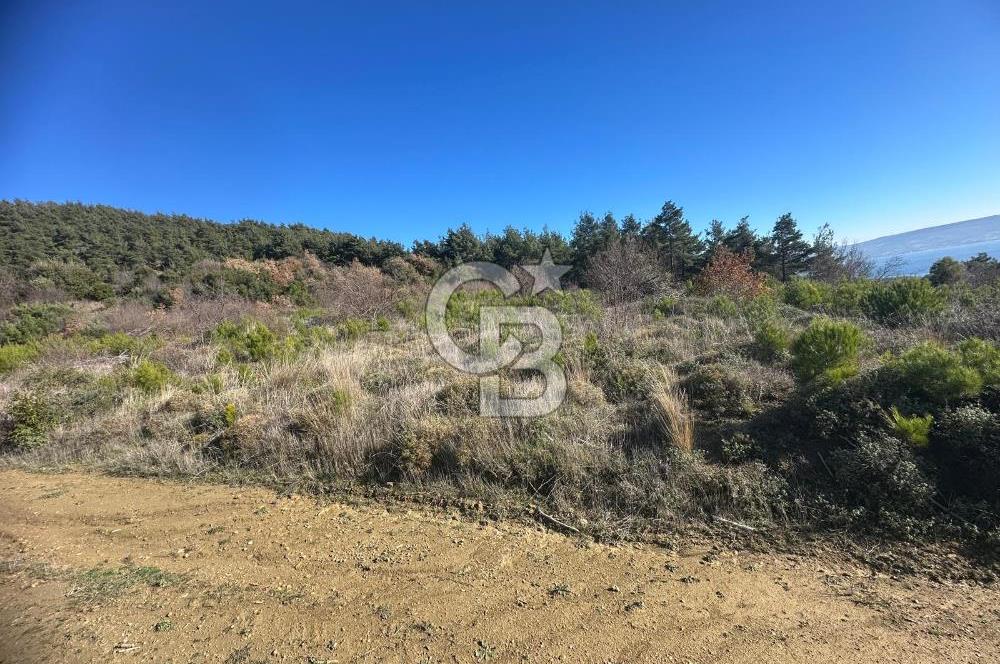 Deniz Manzaralı Tarla, Gelibolu Burhanlı'da Emsallere Göre Uygun!