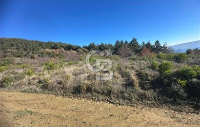 Deniz Manzaralı Tarla, Gelibolu Burhanlı'da Emsallere Göre Uygun!