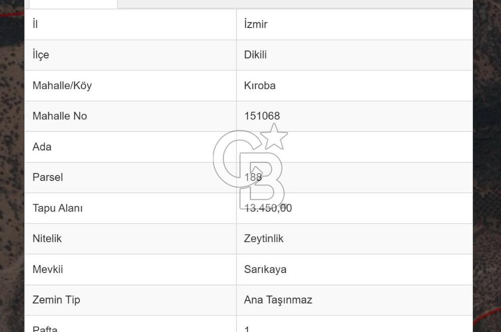 COLDWELL BANKER ROUTE | KIROBA'DA SATILIK ZEYTİNLİK