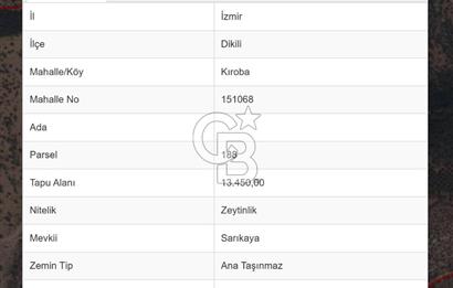 COLDWELL BANKER ROUTE | KIROBA'DA SATILIK ZEYTİNLİK