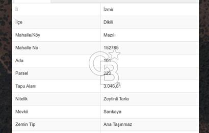 COLDWELL BANKER ROUTE | MAZILI KÖYÜNDE SATILIK ZEYTİNLİK