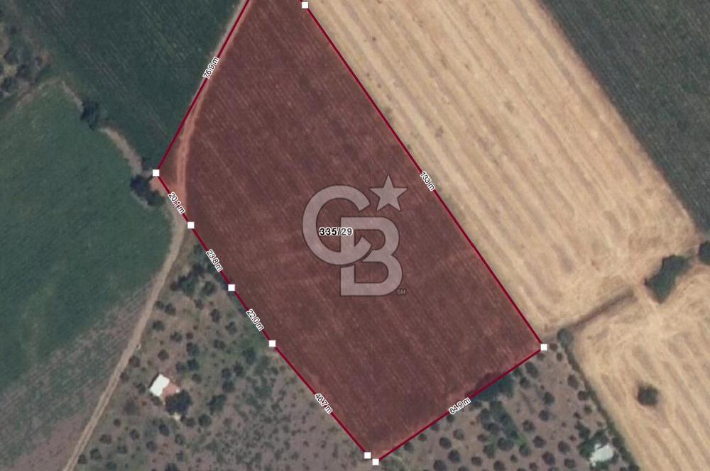 COLDWELL BANKER ROUTE | İSMETPAŞA'DA SATILIK TARLA