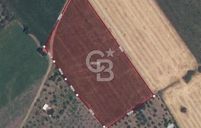 COLDWELL BANKER ROUTE | İSMETPAŞA'DA SATILIK TARLA