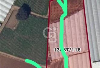 ANTALYA AKSU SATILIK SERA - 1 - 328004