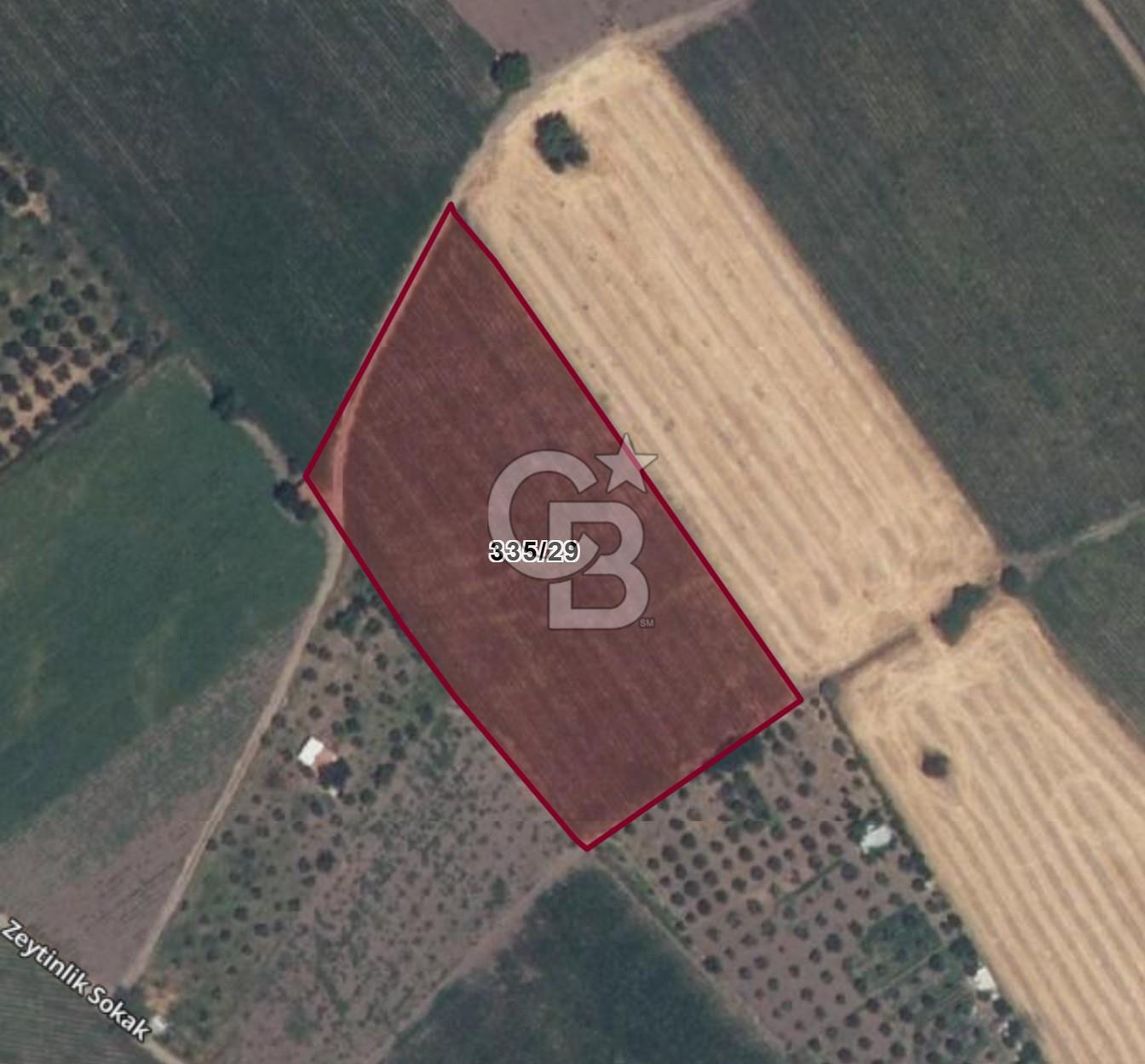 COLDWELL BANKER ROUTE | KIROBA'DA SATILIK ARSA