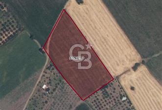 COLDWELL BANKER ROUTE | KIROBA'DA SATILIK ARSA - 1 - 328098