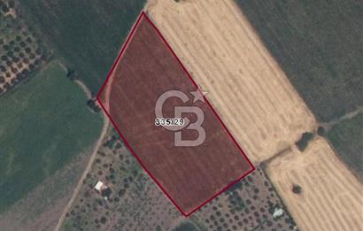 COLDWELL BANKER ROUTE | KIROBA'DA SATILIK ARSA