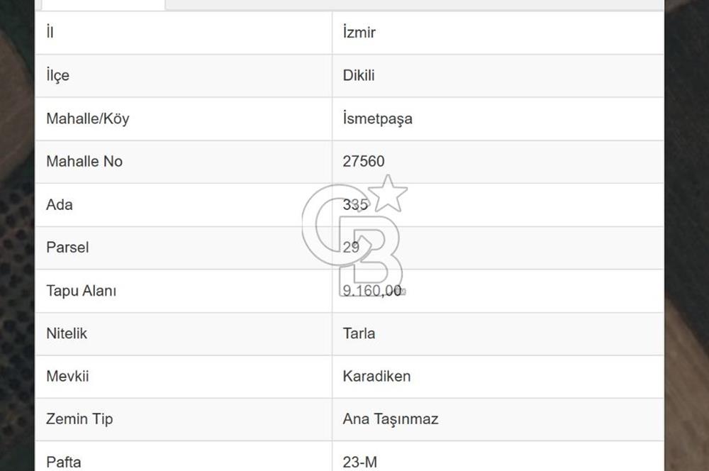 COLDWELL BANKER ROUTE | KIROBA'DA SATILIK ARSA