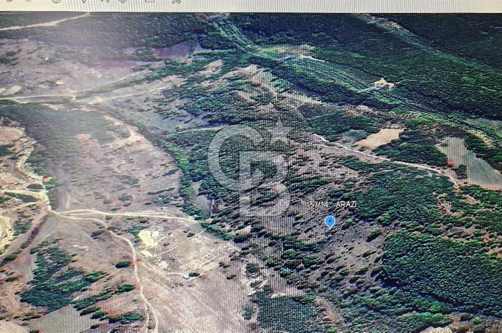 KANDIRA ÇAKMAKLAR KÖYÜ ACİL SATILIK FIRSAT ARAZİ