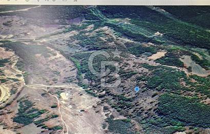 KANDIRA ÇAKMAKLAR KÖYÜ ACİL SATILIK FIRSAT ARAZİ