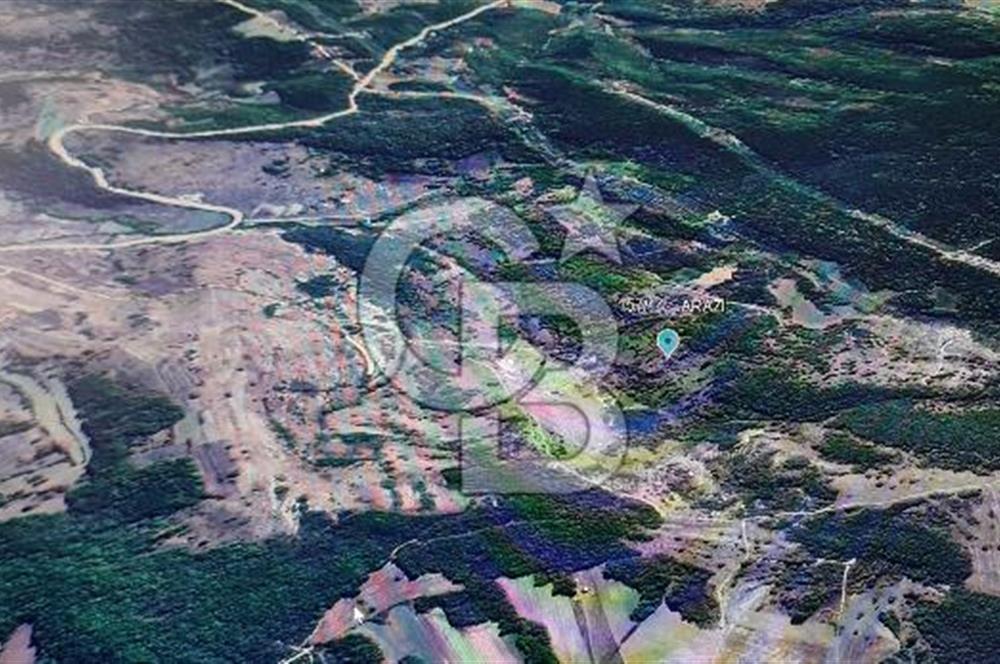 KANDIRA ÇAKMAKLAR KÖYÜ ACİL SATILIK FIRSAT ARAZİ