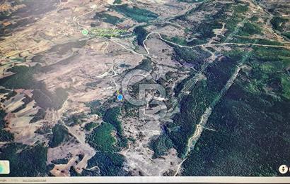 KANDIRA ÇAKMAKLAR KÖYÜ ACİL SATILIK FIRSAT ARAZİ