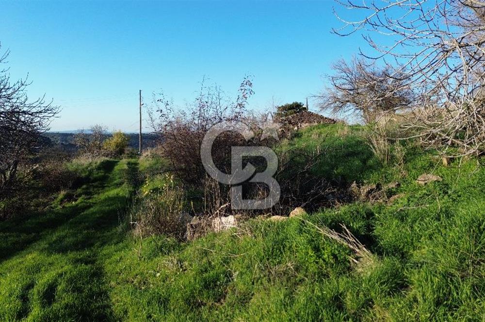 ÇANAKKALE LAPSEKİ BEYBAŞ KÖY İÇİ 1550 M2 SATILIK %40 İMARLI ARSA