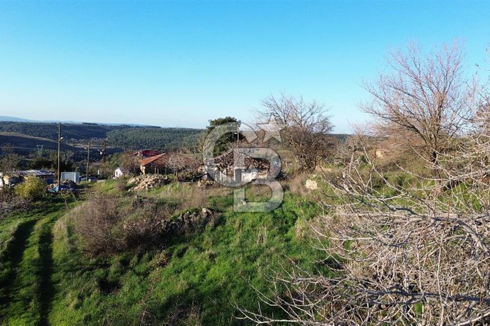 ÇANAKKALE LAPSEKİ BEYBAŞ KÖYÜ KÖY İÇİ İMARLI SATILIK ARSA