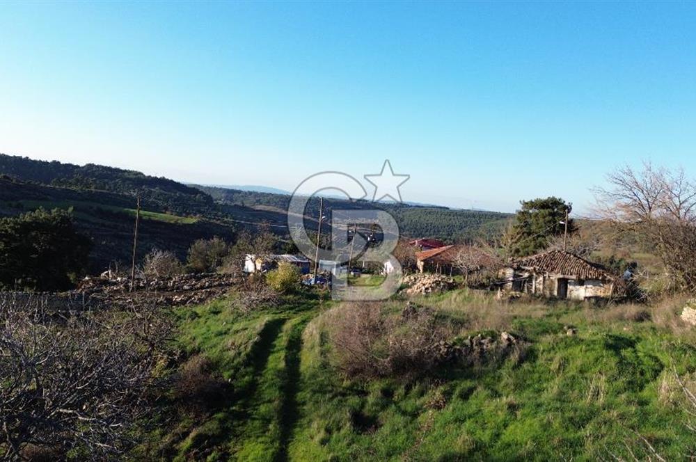 ÇANAKKALE LAPSEKİ BEYBAŞ KÖYÜ KÖY İÇİ İMARLI SATILIK ARSA