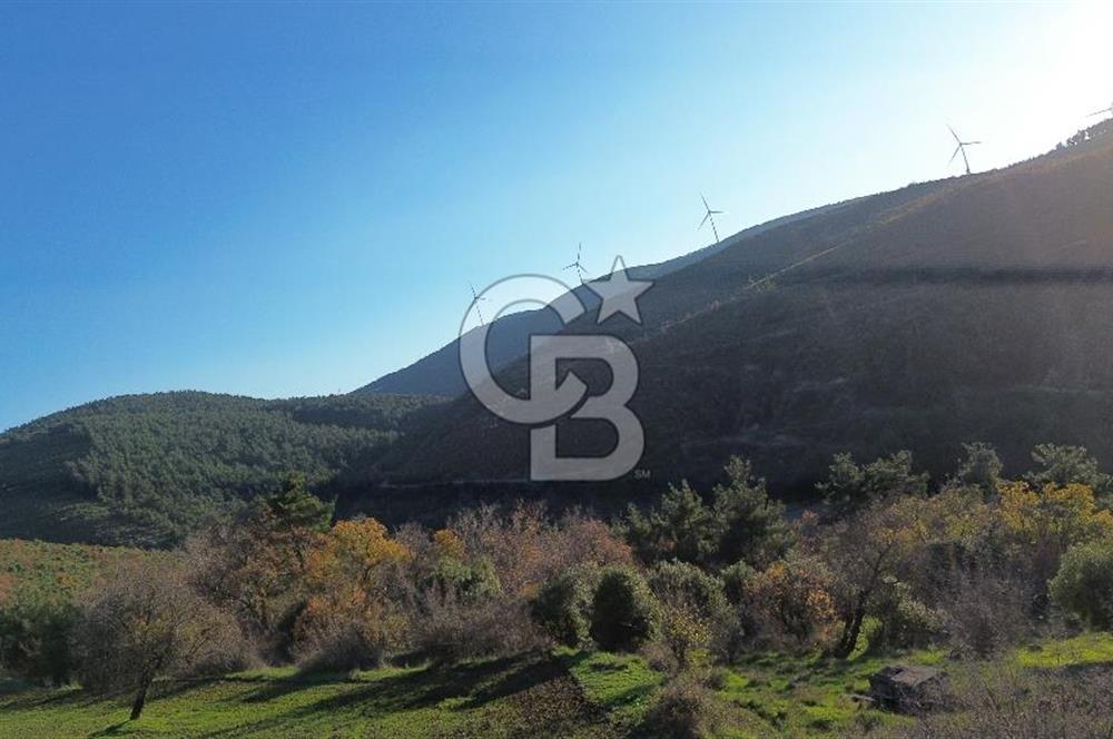 ÇANAKKALE LAPSEKİ BEYBAŞ KÖYÜ KÖY İÇİ İMARLI SATILIK ARSA