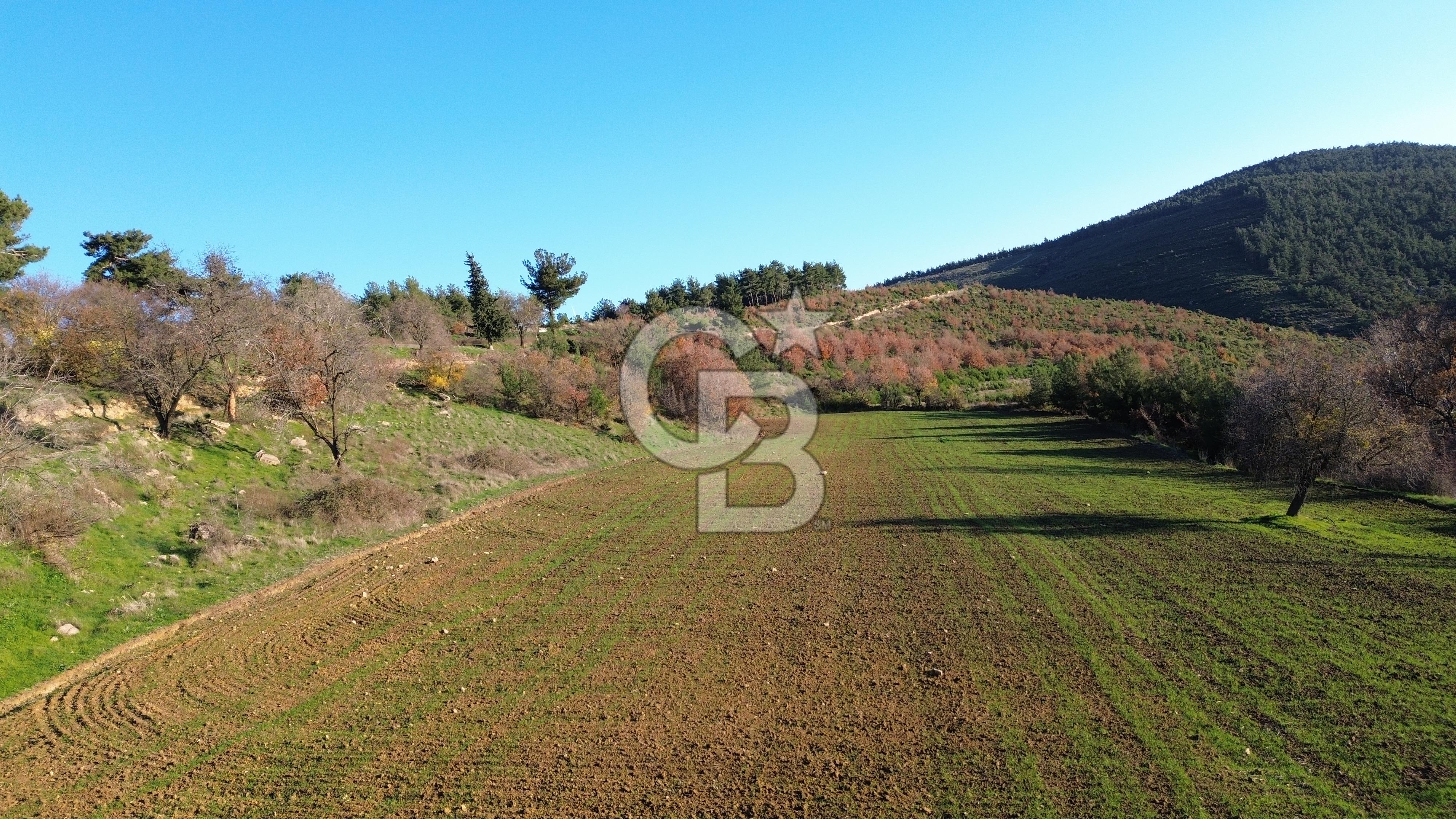 ÇANAKKALE LAPSEKİ BEYBAŞ KÖY İÇİ 1550 M2 SATILIK %40 İMARLI ARSA