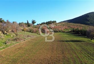 ÇANAKKALE LAPSEKİ BEYBAŞ KÖY İÇİ 1550 M2 SATILIK %40 İMARLI ARSA - 1 - 328123