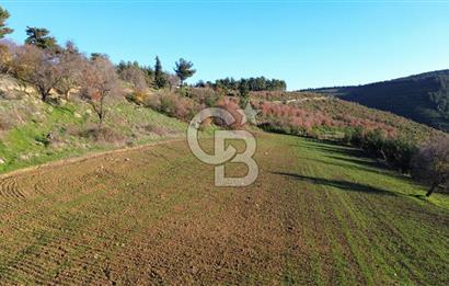 ÇANAKKALE LAPSEKİ BEYBAŞ KÖY İÇİ 1550 M2 SATILIK %40 İMARLI ARSA