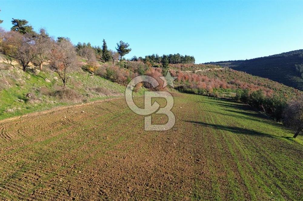 ÇANAKKALE LAPSEKİ BEYBAŞ KÖYÜ KÖY İÇİ İMARLI SATILIK ARSA