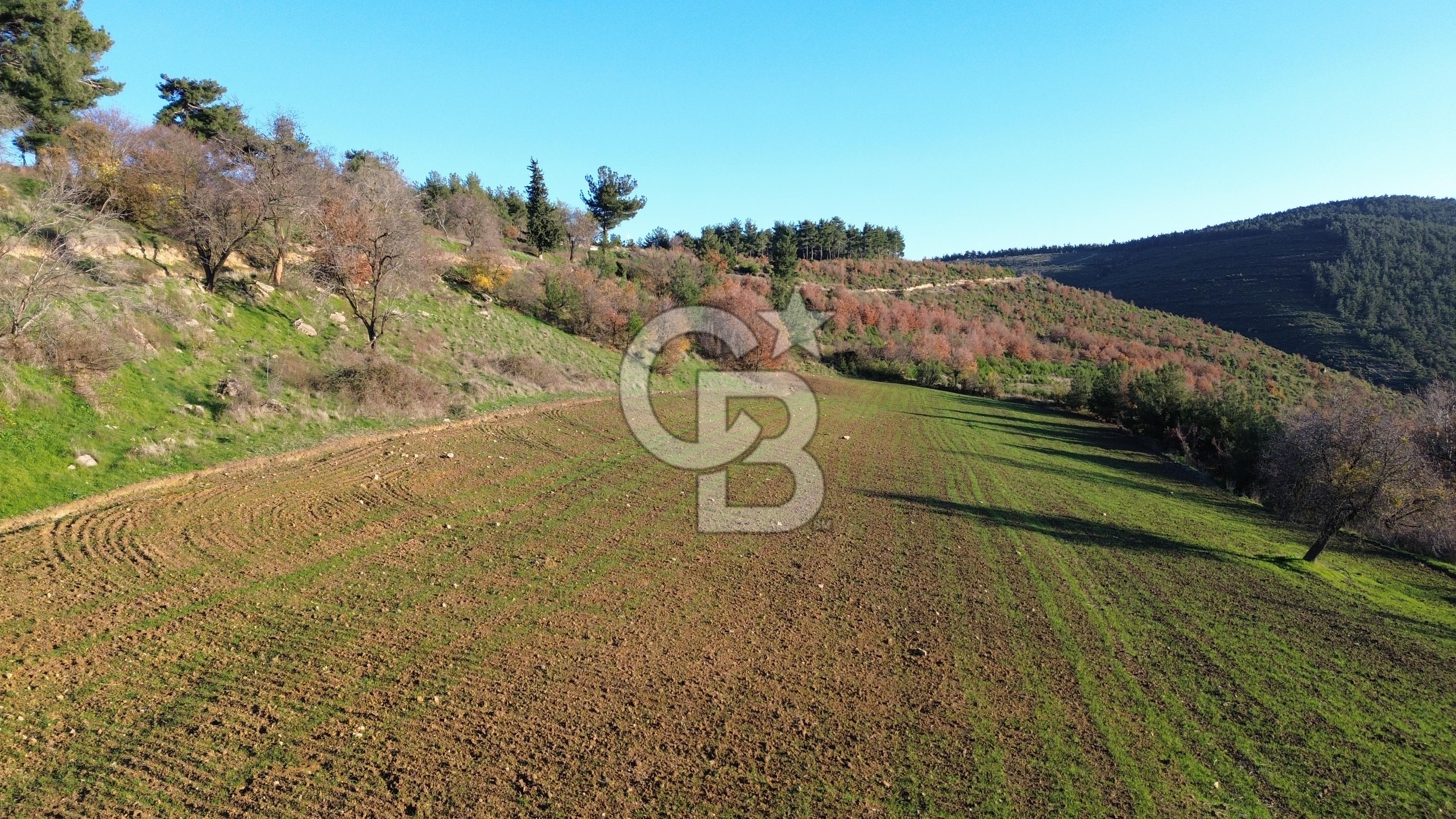ÇANAKKALE LAPSEKİ BEYBAŞ KÖYÜ KÖY İÇİ İMARLI SATILIK ARSA