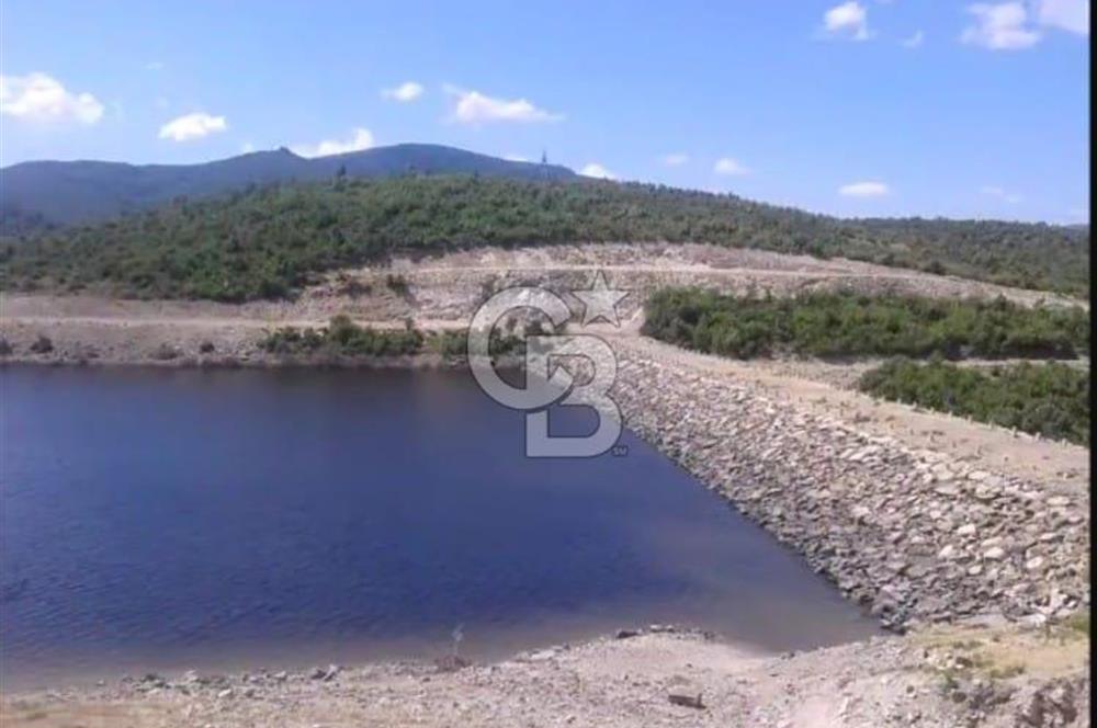 ÇANAKKALE LAPSEKİ BEYBAŞ KÖY İÇİ 1550 M2 SATILIK %40 İMARLI ARSA