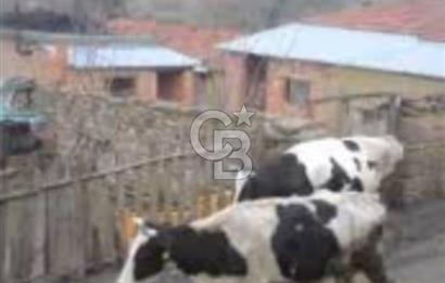 ÇANAKKALE LAPSEKİ BEYBAŞ KÖY İÇİ 1550 M2 SATILIK %40 İMARLI ARSA