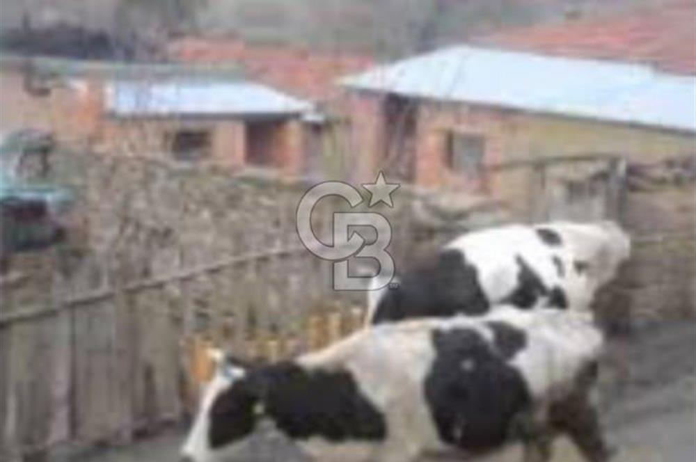 ÇANAKKALE LAPSEKİ BEYBAŞ KÖYÜ KÖY İÇİ İMARLI SATILIK ARSA