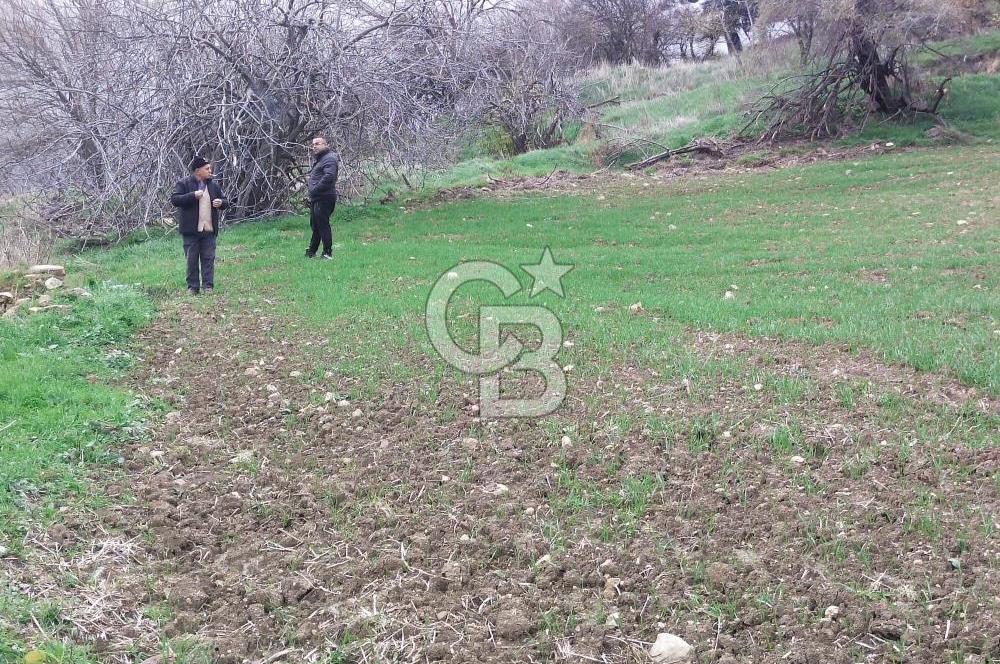 ÇANAKKALE LAPSEKİ BEYBAŞ KÖY İÇİ 1550 M2 SATILIK %40 İMARLI ARSA