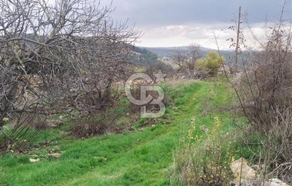 ÇANAKKALE LAPSEKİ BEYBAŞ KÖY İÇİ 1550 M2 SATILIK %40 İMARLI ARSA