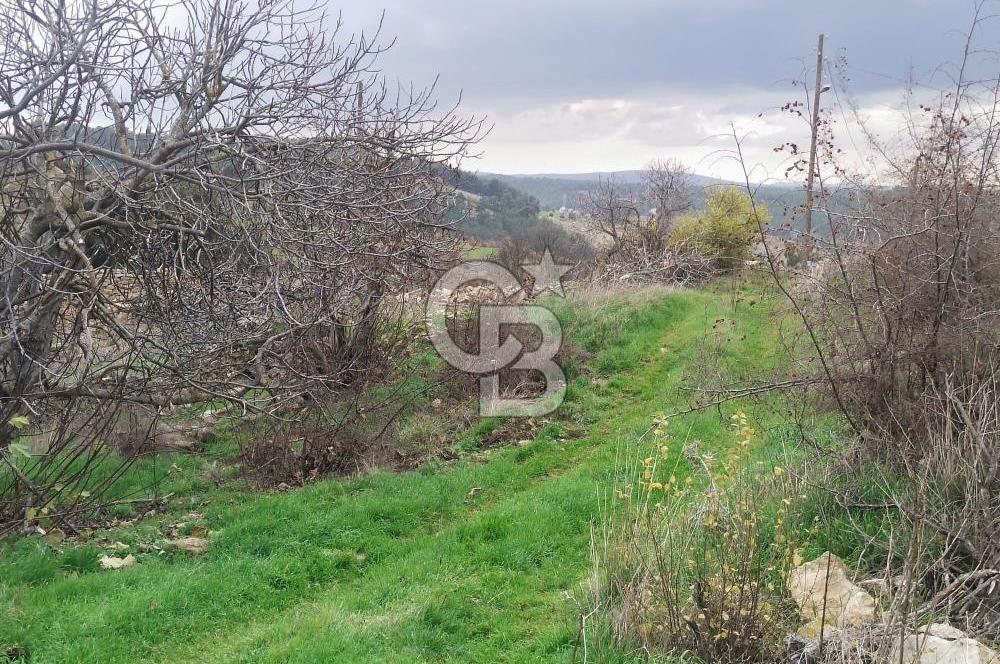 ÇANAKKALE LAPSEKİ BEYBAŞ KÖYÜ KÖY İÇİ İMARLI SATILIK ARSA