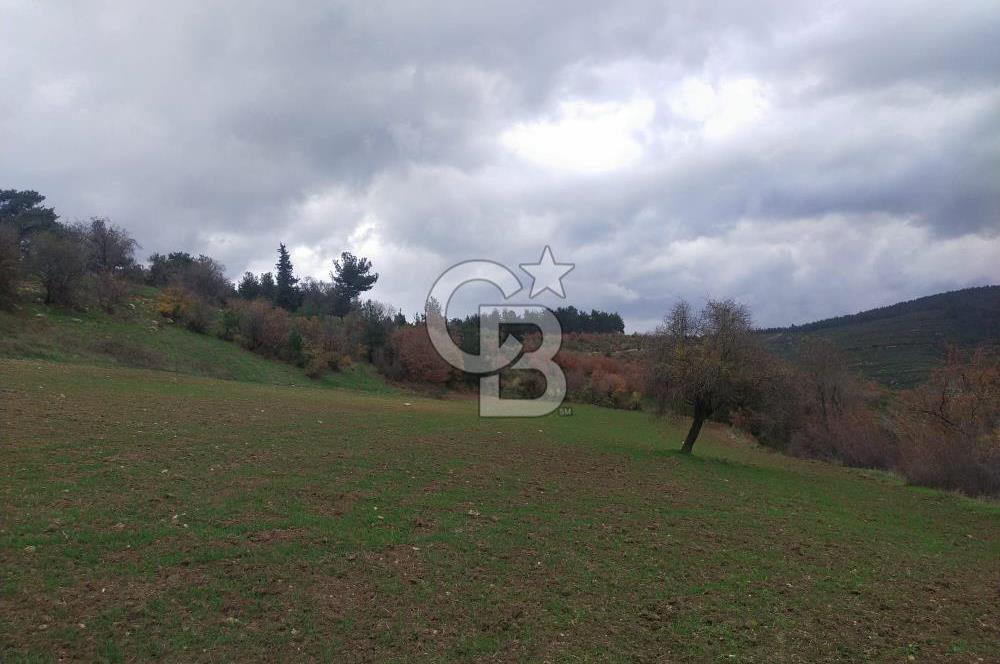 ÇANAKKALE LAPSEKİ BEYBAŞ KÖYÜ KÖY İÇİ İMARLI SATILIK ARSA