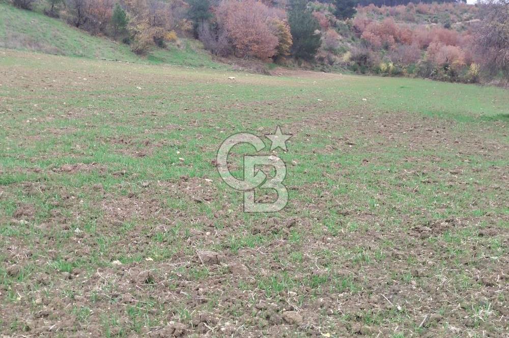 ÇANAKKALE LAPSEKİ BEYBAŞ KÖYÜ KÖY İÇİ İMARLI SATILIK ARSA