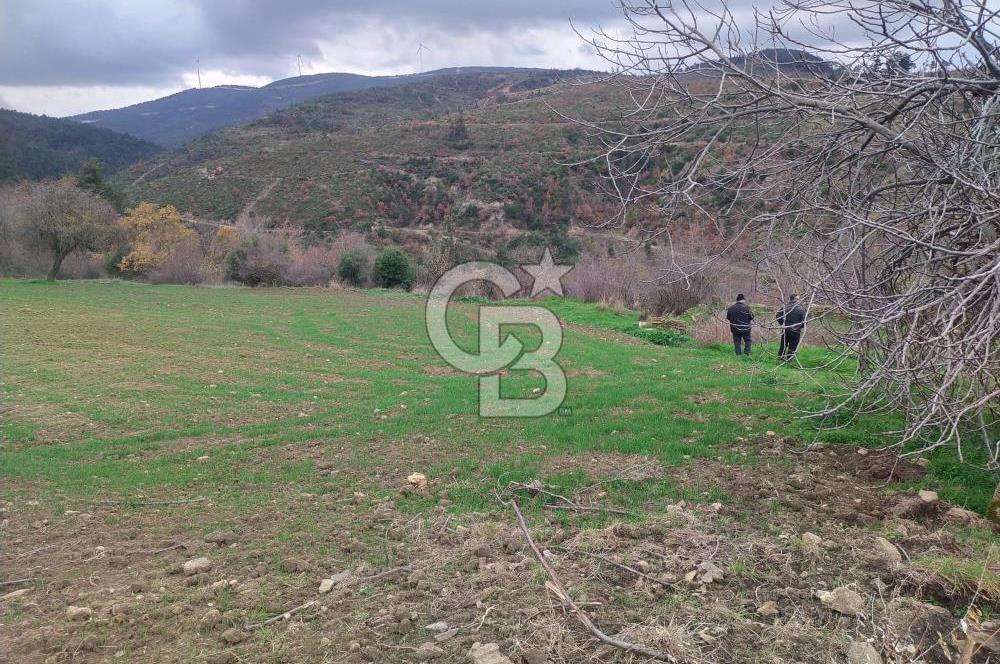 ÇANAKKALE LAPSEKİ BEYBAŞ KÖY İÇİ 1550 M2 SATILIK %40 İMARLI ARSA