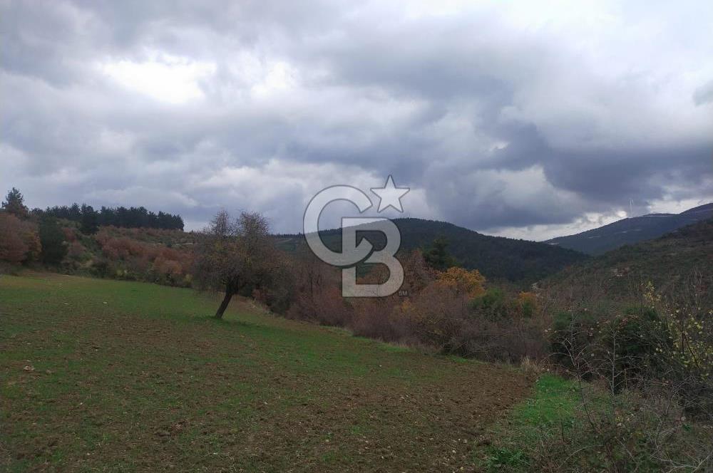 ÇANAKKALE LAPSEKİ BEYBAŞ KÖY İÇİ 1550 M2 SATILIK %40 İMARLI ARSA