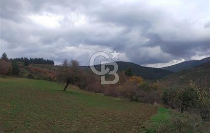 ÇANAKKALE LAPSEKİ BEYBAŞ KÖYÜ KÖY İÇİ İMARLI SATILIK ARSA