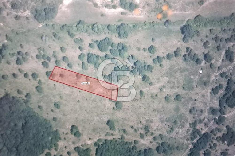 KANDIRA ÇAKMAKLAR KÖYÜ ACİL SATILIK FIRSAT ARAZİ