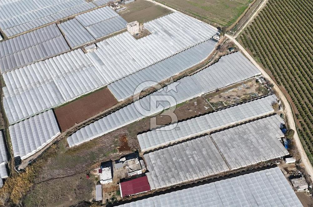 MERSİN- AKDENİZ-KAZANLI 5509M² SATILIK ARAZİ