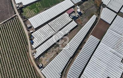 MERSİN- AKDENİZ-KAZANLI 5509M² SATILIK ARAZİ