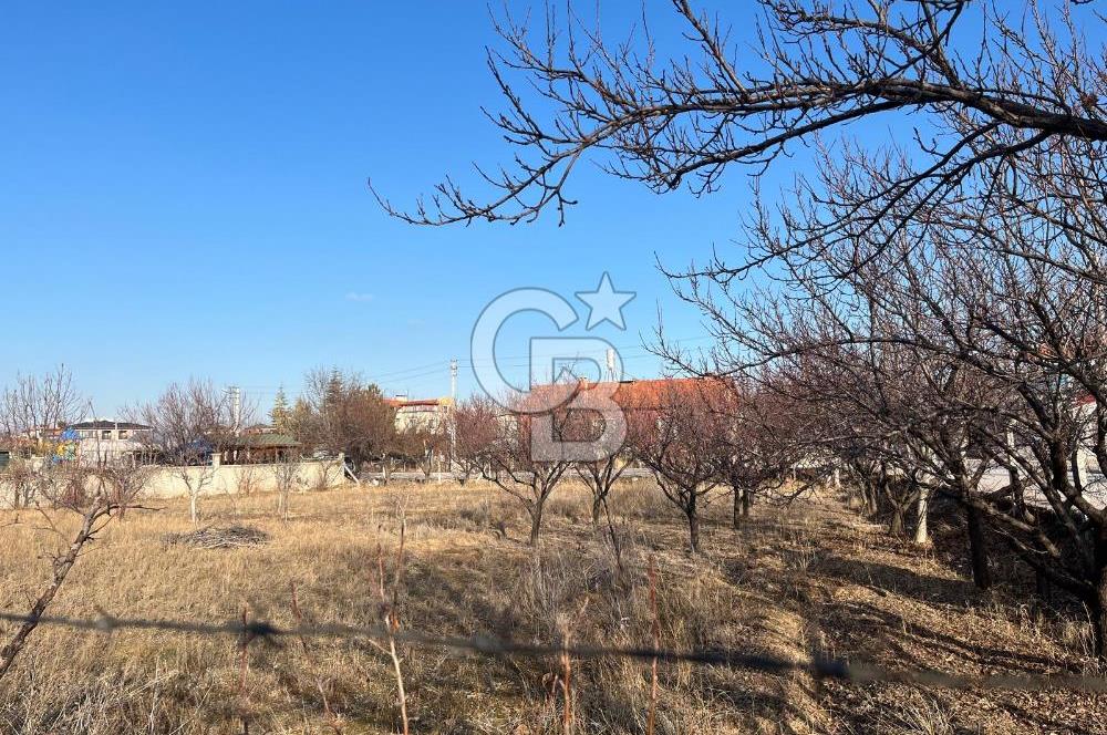 CB DİNAMİKTEN  0.50 EMSAL SATILIK VİLLA ARSASI